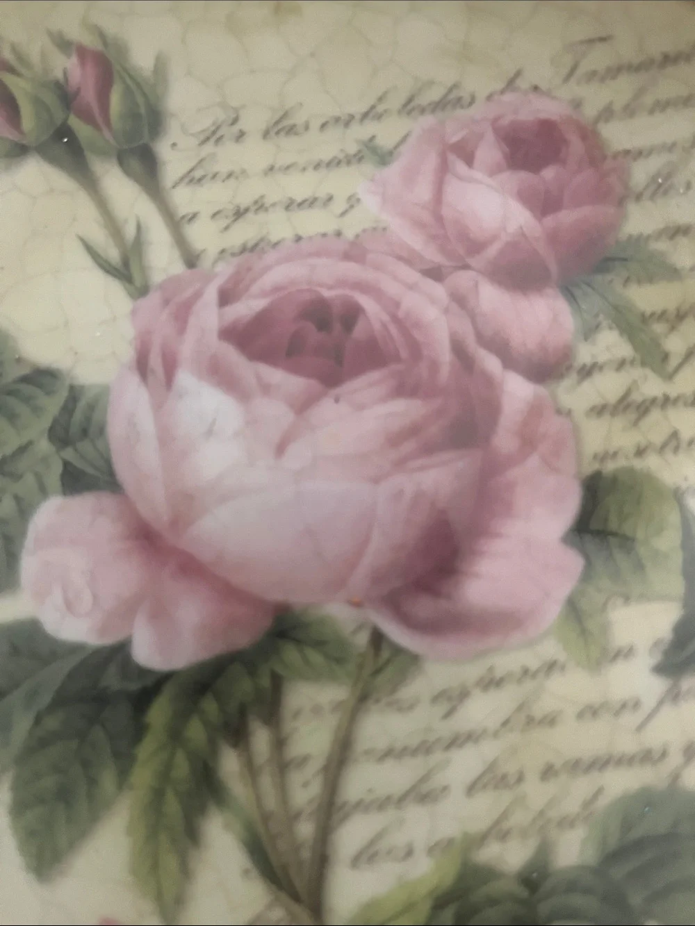 Vintage-Inspired Pink Rose Decorative Wall Plate